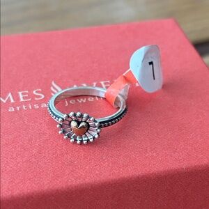 James Avery retired Radiant Heart ring! Silver and bronze